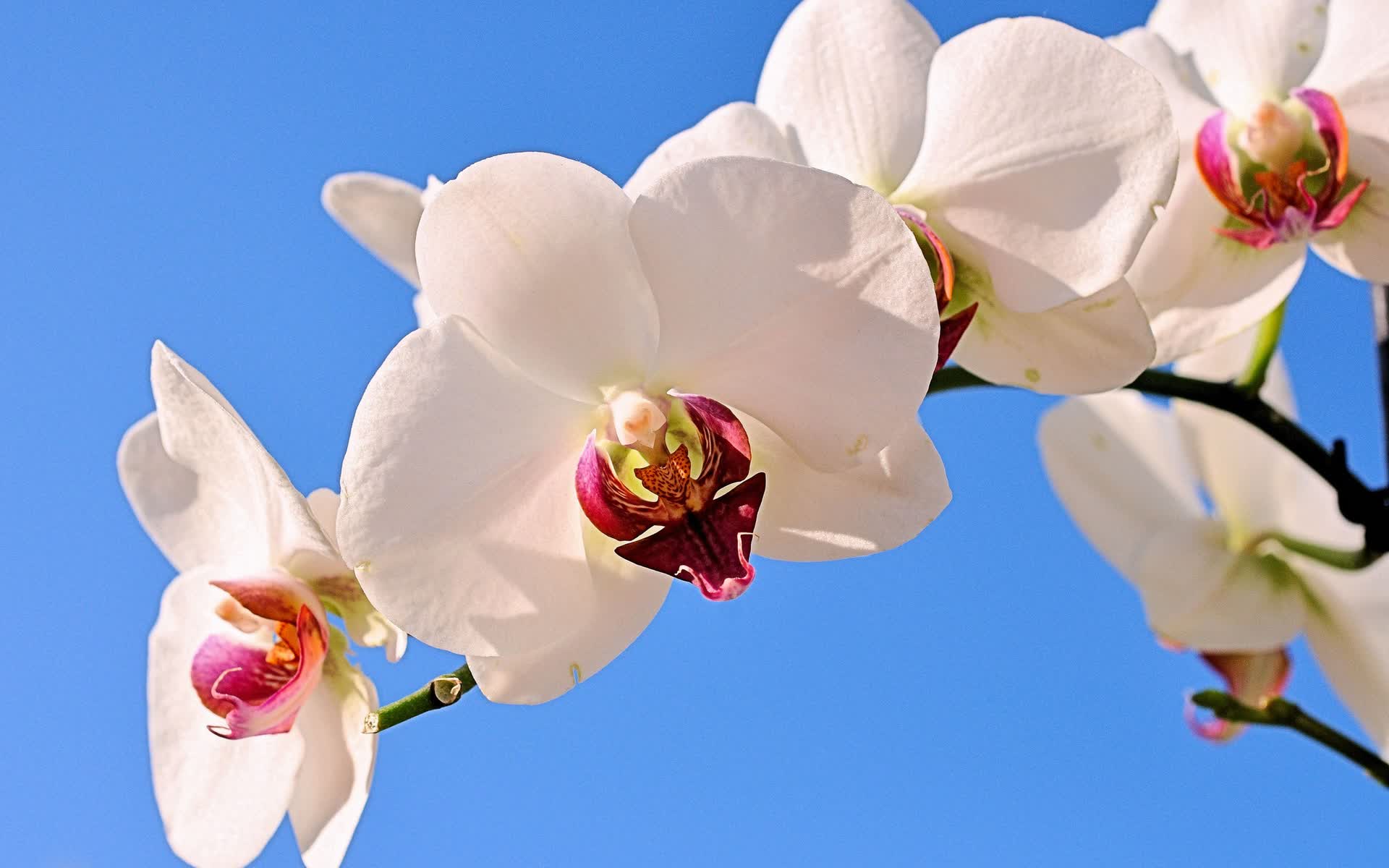 世界登山青年导师生态课堂示范校第8批名单发布,登山专家